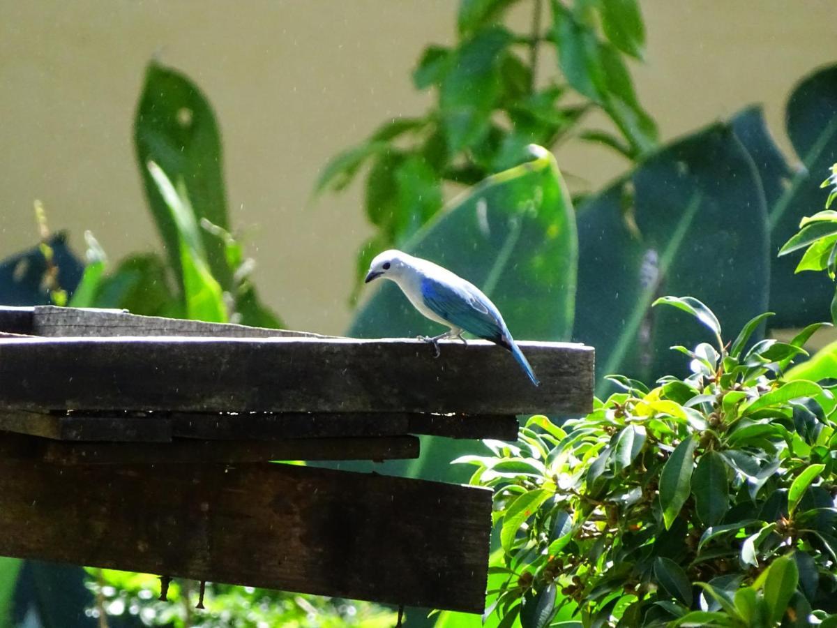 Miztli Lodge & Adventure Monteverde Ngoại thất bức ảnh