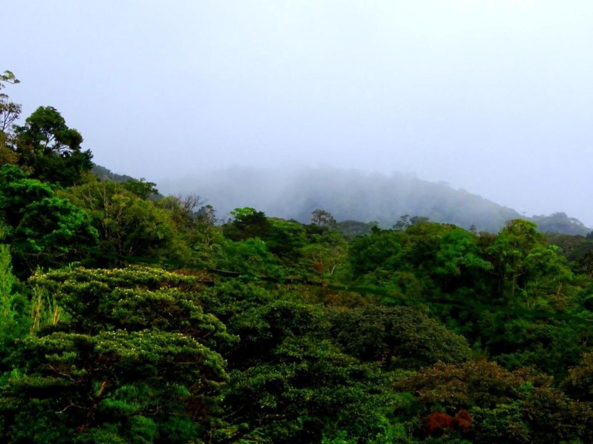 Miztli Lodge & Adventure Monteverde Ngoại thất bức ảnh