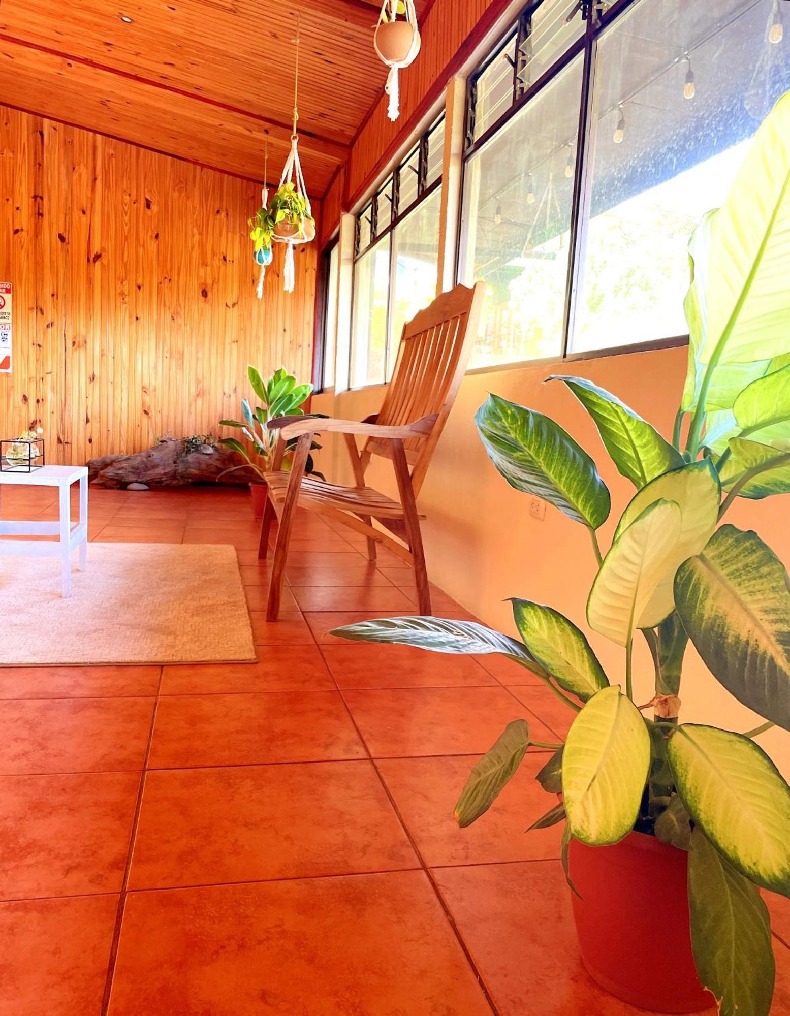 Miztli Lodge & Adventure Monteverde Ngoại thất bức ảnh